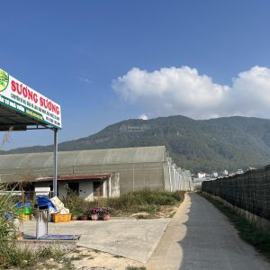 (#BDS Lâm Đồng): Bán đất ven Đà Lạt: 240m² giá chỉ hơn 1 tỷ gần QL27, khí hậu mát quanh năm